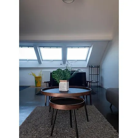 Perk Apartments-antwerp Daire *